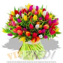 ziedu piegāde: Pavasara pušķis nr 20: 130.00 €