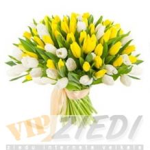 ziedu piegāde: Pavasara pušķis nr 26: 130.00 €